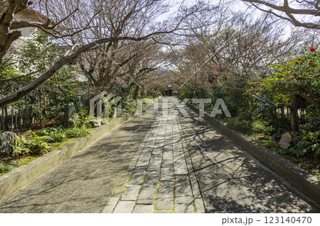 山口大内氏館跡 龍福寺 参道 山口県山口市 山口大内氏館跡 龍福寺 参道 山口県山口市 123140470