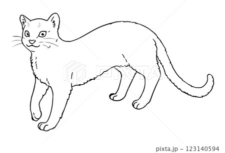 ジャガランディの線画 123140594