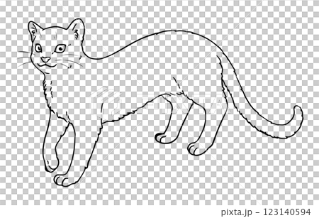 ジャガランディの線画 123140594