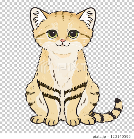 可愛いスナネコのイラスト 可愛いスナネコのイラスト 123140596