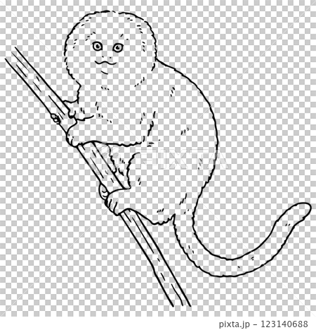可愛いゲルディモンキーの線画 123140688