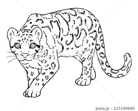 可愛いウンピョウの線画 可愛いウンピョウの線画 123140690