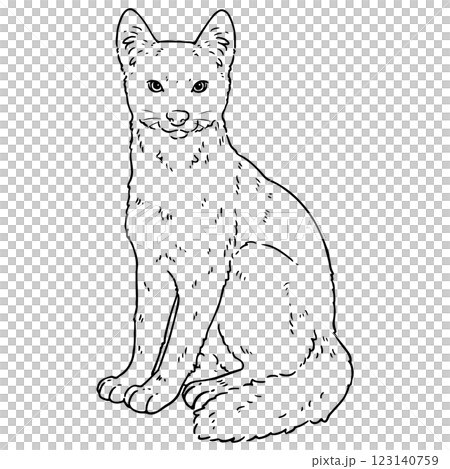 可愛いエチオピアオオカミの線画 123140759