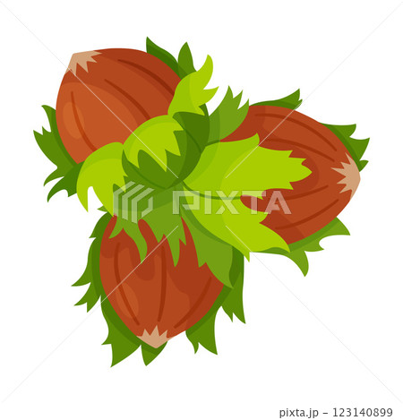 Hazelnuts with leaves. Hand drawn trendy flat style isolated icon 123140899