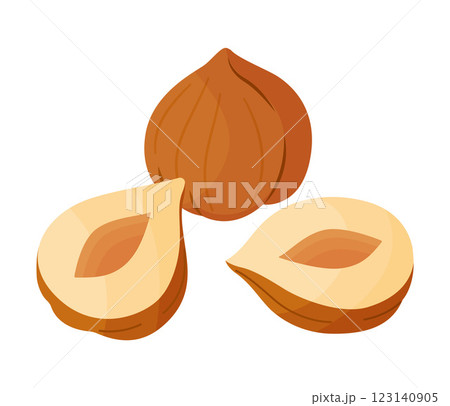 Half and whole hazelnuts, peeled nut cartoon trendy flat style isolated icon Half and whole hazelnuts, peeled nut cartoon trendy flat style isolated icon 123140905