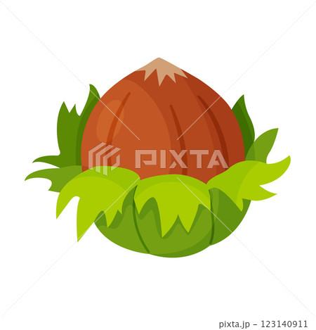 Hazelnut with leaves. Hand drawn trendy flat style isolated icon Hazelnut with leaves. Hand drawn trendy flat style isolated icon 123140911