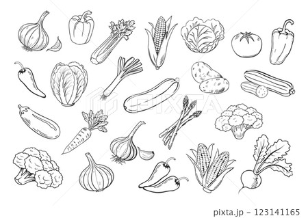 Sketch vegetables icons set. Collection of hand drawn farm product for restaurant menu, market label. Black and white illustration. 123141165