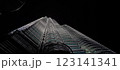Petronas Twin Towers at night, popular landmark and touristic attraction in Kuala Lumpur, 123141341