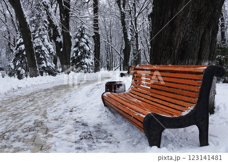 Bench in a winter park Kiev Ukraine 123141481