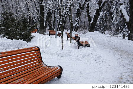 Bench in a winter park Kiev Ukraine Bench in a winter park Kiev Ukraine 123141482