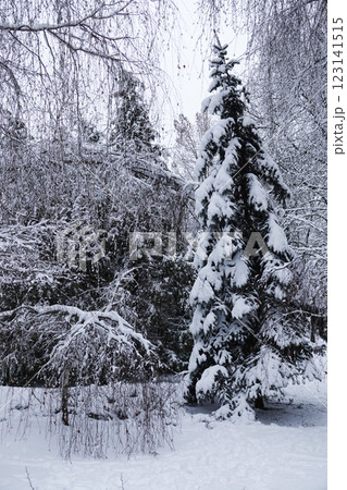 Winter Park Kiev Ukraine Winter Park Kiev Ukraine 123141515