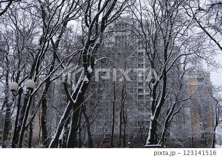 Winter Park Kiev Ukraine 123141516
