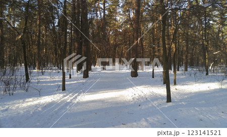 Alley in the central city park in winter in Kiev. Ukraine 123141521