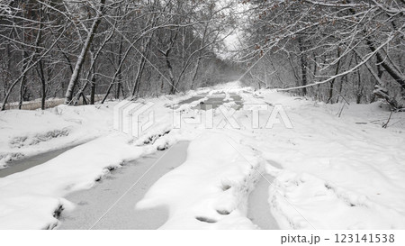 Impassable road in a winter forest with huge puddles Impassable road in a winter forest with huge puddles 123141538