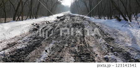 Impassable road in a winter forest with huge puddles 123141541