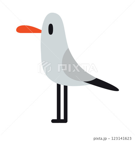 Cute seagull, little grey bird. Vector illustration isolated on white background, hand drawn, flat design Cute seagull, little grey bird. Vector illustration isolated on white background, hand drawn, flat design 123141623