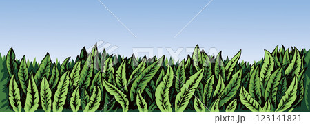 Vector grass background with space for text. Vector grass background with space for text. 123141821