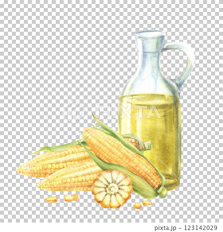 Glass bottle with corn oil. Fresh sweetcorn, maize cob with husk, whole, cut cobs and kernels. Food composition. Hand drawn watercolor illustration isolated from background for product label design. 123142029