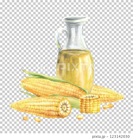 corn oil in a glass jar, bottle. Fresh sweetcorn, maize cob with husk, whole, cut cobs and kernels. Food composition. Hand drawn watercolor illustration isolated from background for product label 123142030