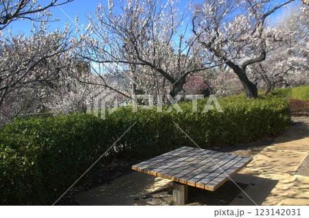 羽根木公園 羽根木公園 123142031