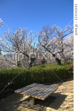 羽根木公園 123142032