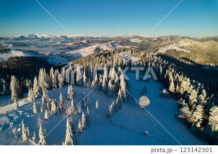 Breathtaking aerial view of snow-covered forest with tall pine trees illuminated by golden light of setting sun. Rolling hills and distant mountains under clear blue sky create tranquil winter scene. 123142301