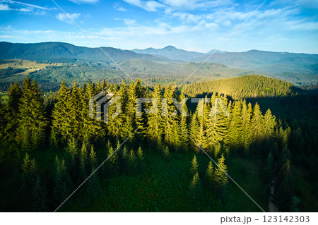 Aerial view of lush, green forest with tall pine trees basking in the golden sunlight. Rolling hills and distant mountains create stunning backdrop under clear blue sky with scattered clouds. Aerial view of lush, green forest with tall pine trees basking in the golden sunlight. Rolling hills and distant mountains create stunning backdrop under clear blue sky with scattered clouds. 123142303