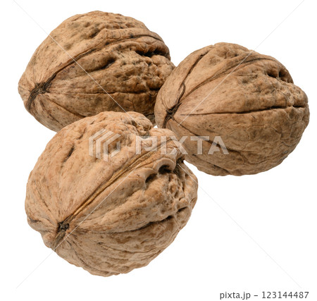 Whole walnut with textured shell close-up 123144487