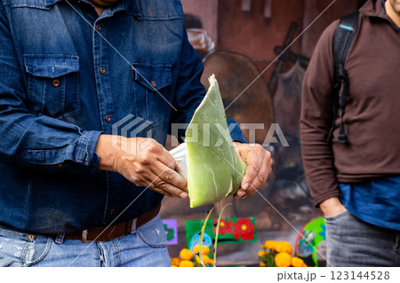 Tourist guide showing the importance of the agave plant for the antique cultures to a group of tourists at the Teotihuacan archaeological site. Tourist guide showing the importance of the agave plant for the antique cultures to a group of tourists at the Teotihuacan archaeological site. 123144528