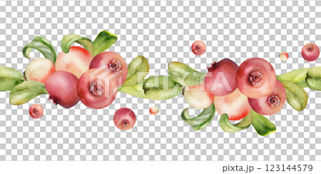 Cranberry lingonberry bunch, green leaves, hand drawn in watercolor, ripe swamp forest berry bearberry teaberry wintergreen. Isolated seamless banner border for restaurant, cafe menu, farmers market Cranberry lingonberry bunch, green leaves, hand drawn in watercolor, ripe swamp forest berry bearberry teaberry wintergreen. Isolated seamless banner border for restaurant, cafe menu, farmers market 123144579