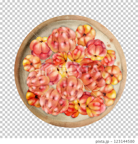 Cloudberry raspberry heap on ceramic plate, hand drawn in watercolor, ripe red Scandinavian forest berry. Isolated illustration. Restaurant, dessert cafe menu, home preserves, farmers market harvest 123144580