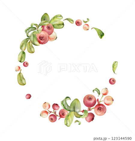Cranberry lingonberry on branch, green leaves, ripe berry wintergreen teaberry bearberry cluster group, hand drawn in watercolor. Isolated circle wreath frame. Farmers market, recipe book, cafe menu Cranberry lingonberry on branch, green leaves, ripe berry wintergreen teaberry bearberry cluster group, hand drawn in watercolor. Isolated circle wreath frame. Farmers market, recipe book, cafe menu 123144590