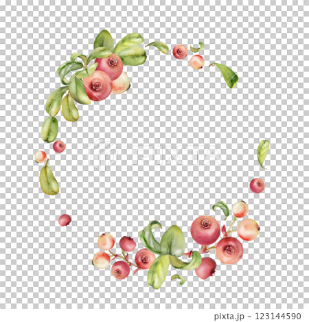 Cranberry lingonberry on branch, green leaves, ripe berry wintergreen teaberry bearberry cluster group, hand drawn in watercolor. Isolated circle wreath frame. Farmers market, recipe book, cafe menu Cranberry lingonberry on branch, green leaves, ripe berry wintergreen teaberry bearberry cluster group, hand drawn in watercolor. Isolated circle wreath frame. Farmers market, recipe book, cafe menu 123144590