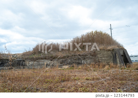 柳本飛行場跡北側防空壕跡の景色 123144793