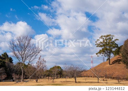《冬の公園》四日市南部丘陵公園(北ゾーン) 《冬の公園》四日市南部丘陵公園(北ゾーン) 123144812