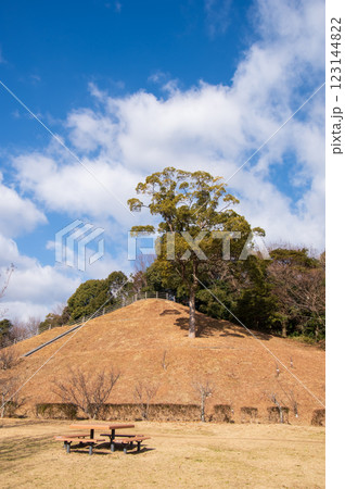 《冬の公園》四日市南部丘陵公園(北ゾーン) 123144822