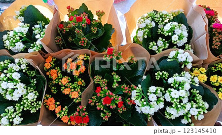 Colorful Flower Bouquets Embracing Natures Incredible Charm and Beauty in Full Bloom Colorful Flower Bouquets Embracing Natures Incredible Charm and Beauty in Full Bloom 123145410