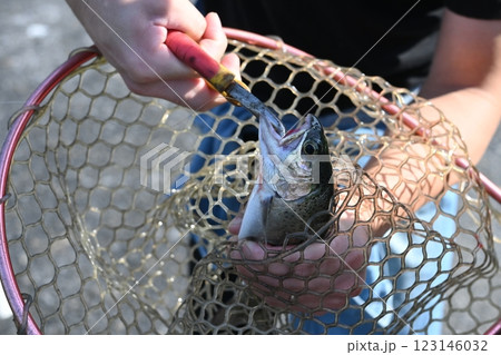 釣れた魚を網でとる 123146032
