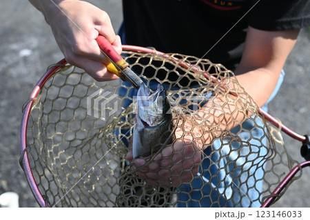 釣れた魚を網でとる 123146033