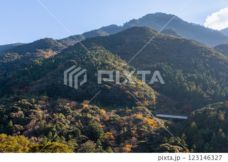 屋久島洋上アルプスの秋(11月)夕方の斜光に映える山と紅葉 123146327