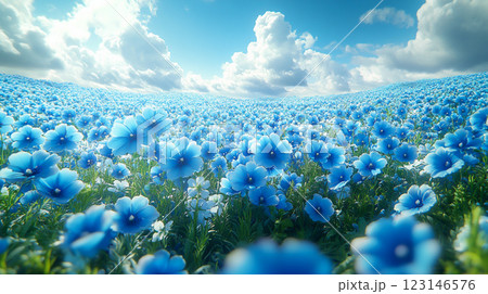 青いネモフィラの絶景の花畑 123146576