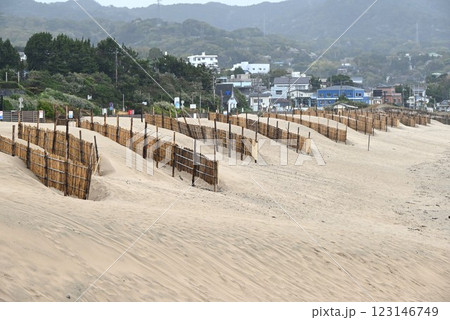 砂浜の竹製の防砂柵・環境問題の背景素材 砂浜の竹製の防砂柵・環境問題の背景素材 123146749