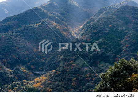 屋久島洋上アルプス　初冬の斜光に映える山 123147233