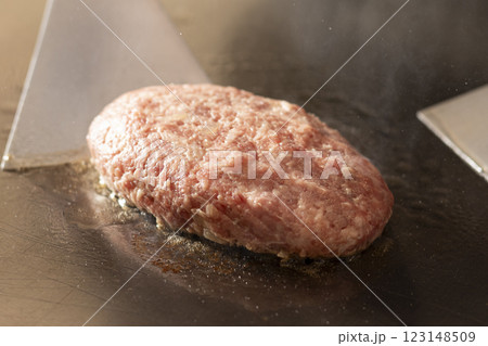 ハンバーグ 123148509