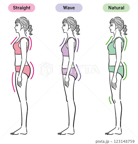 骨格診断のイラスト（横） 123148759