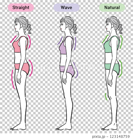 骨格診断のイラスト（横） 123148759