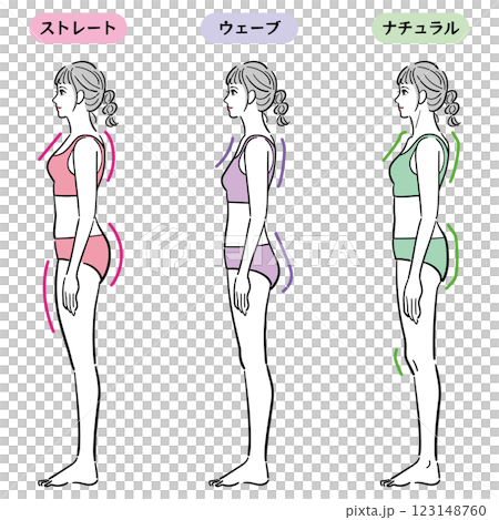 Skeletal diagnosis illustration (horizontal) Skeletal diagnosis illustration (horizontal) 123148760