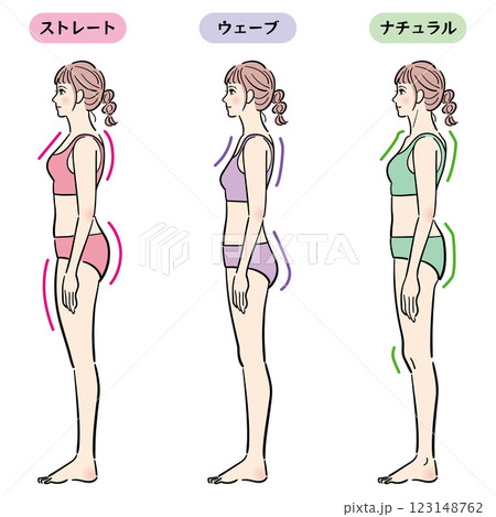 骨格診断のイラスト（横） 123148762