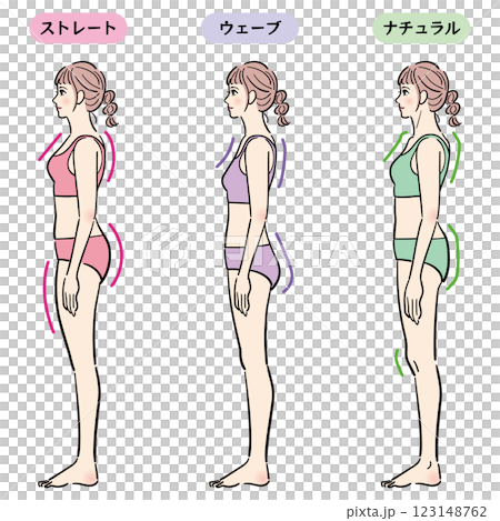 骨格診断のイラスト（横） 123148762
