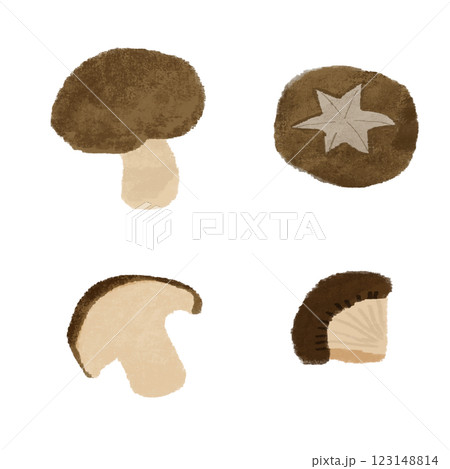しいたけの様々な切り方の手描きのカラーイラストセット しいたけの様々な切り方の手描きのカラーイラストセット 123148814